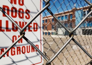 乐鱼体育平台-青少年运动安全教育短片在校内推广,青少年运动安全教育短片在校内推广方案